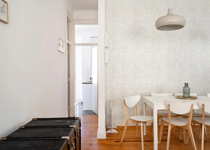 Akicity Estrela Shine *